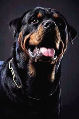 Photos wojtus1995pne