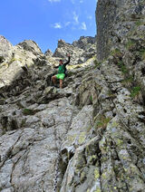 Benutzerfoto knurmichal1