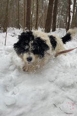 Zdjęcie użytkownika emilkazia92