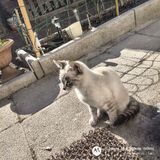 Foto pengguna Brunet27c