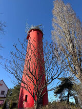 Fotos rborowiec0651975