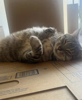 Фото користувача temptingmichele