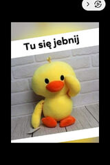 Foto pengguna zolnierz1317