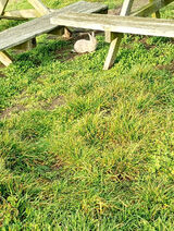 Фото користувача ewakwiatkowska1454