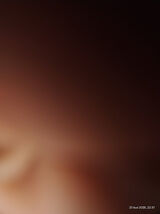 Benutzerfoto adamstreich018