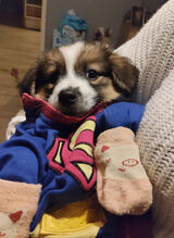 Фото користувача grzegorzpawlik1882