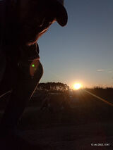 Zdjęcie użytkownika ralf1984