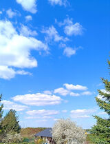 Zdjęcie użytkownika Karol83Buli