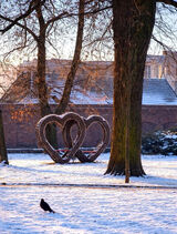 Фото користувача ciacho6001pl