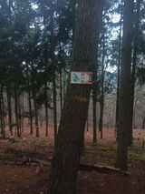 Zdjęcie użytkownika Zwyklylotr