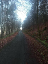 Фото користувача Zwyklylotr