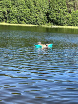 Zdjęcie użytkownika Dareczek36