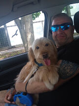 Фотография пользователя Robert1233333