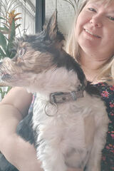 Фото користувача Danuta166