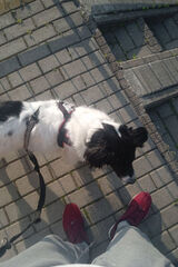 Фото користувача Olafcioo