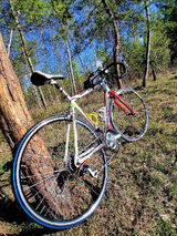 Zdjęcie użytkownika PodgajnyA