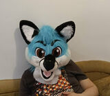 Zdjęcie użytkownika JakubDruzgala