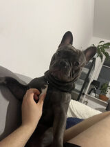 Fotka uživatele Hejzabawa