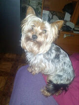 Фото користувача tomulka15071988157