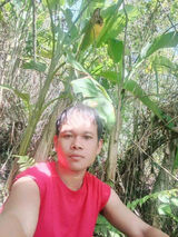 Fotos paraguma981