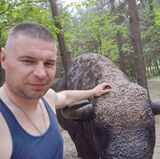 Benutzerfoto pawelangielski027