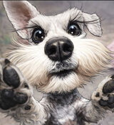 Benutzerfoto Tomas36