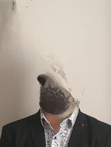 Benutzerfoto edzio11