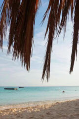 Fotos Jedennamilion82