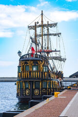 Fotos rborowiec0651975