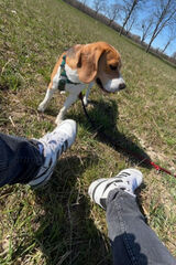 Benutzerfoto sebastian000