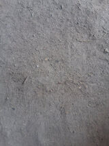 Zdjęcie użytkownika MateuszClap