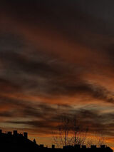 Фотография пользователя chetkowskiigor10