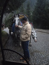 Photos dominik64