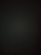 Benutzerfoto u1438288813