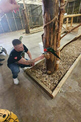 Photos DanielKowalczyk189