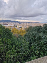 Zdjęcie użytkownika wimbledon2022