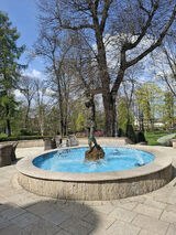 Zdjęcie użytkownika soovnee