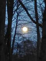 Foto utilizatorului paprockikacper645