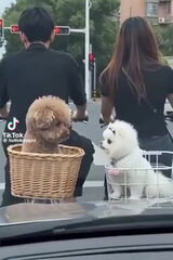 Photos malgorzatagucwa51