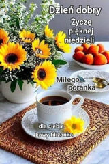 Foto utilizatorului Wojciech63