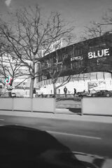 Photos frankiewiczgrzeg41