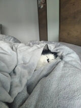 Фотография пользователя suszekagnieszka06