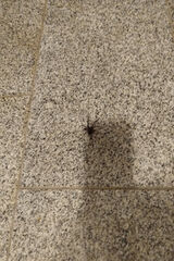 Фотография пользователя Bronekkk