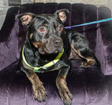 Zdjęcie użytkownika Wb90333