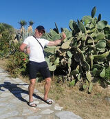 Benutzerfoto MirekWisniowski