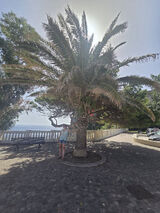 Benutzerfoto xAmelia7