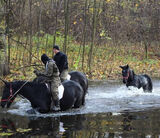 Foto utilizatorului szymel7273