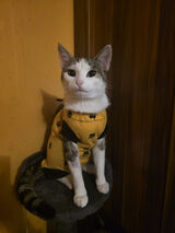 Фотография пользователя igmidnightblauw209