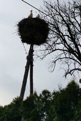 Foto pengguna szulckarolina251