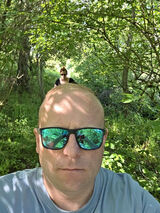 Foto utilizatorului pRafal3